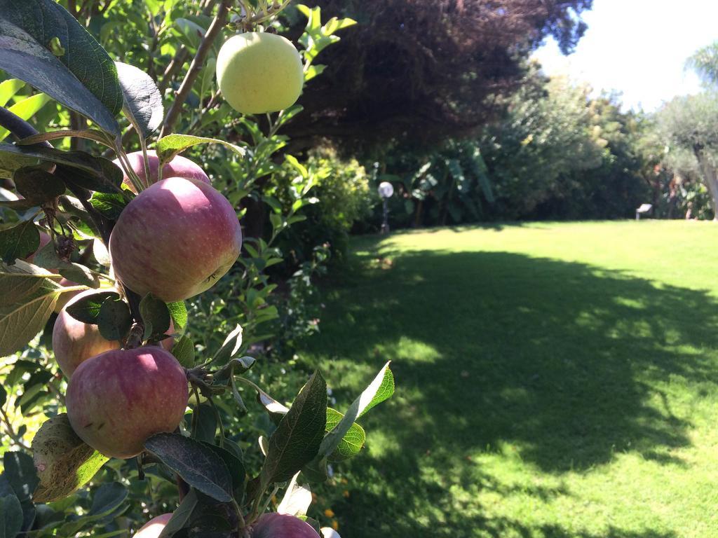 A Casa Di Angela B&B Carbonia Εξωτερικό φωτογραφία